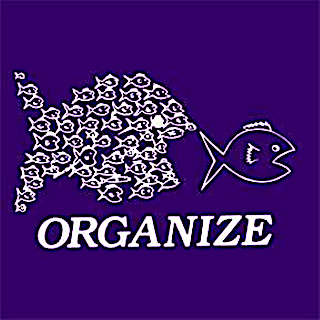 Organize!